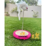 Cat Scratching Post Spring Mouse